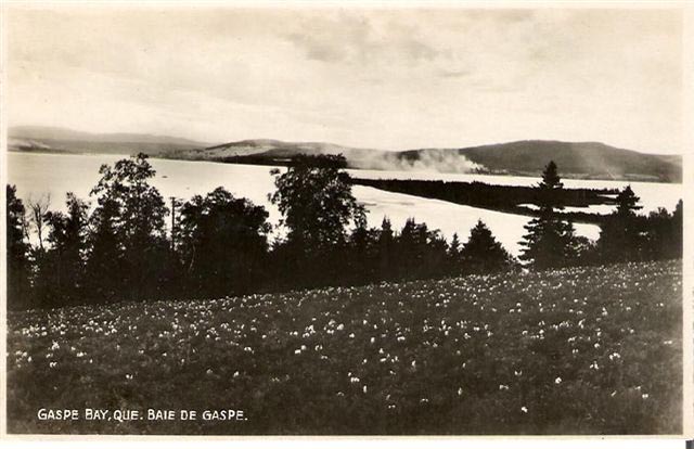 gaspe bay from pennusila