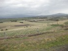 IMG_0114.JPG