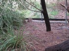 IMG_0183.JPG