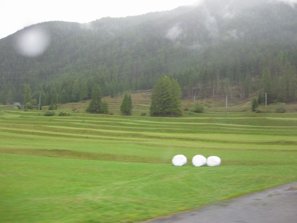 n_img_3002_glacier_scratched_ridges_in_the_field__and_dragons__eggs_.jpg