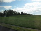 IMG_3901.JPG