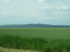 IMG_6995.jpg