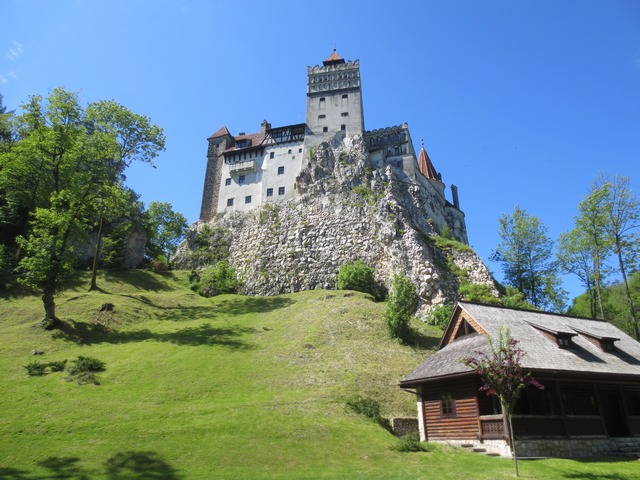n_img_7107.jpg