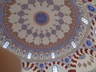 IMG_8003.JPG