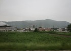 IMG_8297.jpg