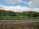 IMG_8769.jpg