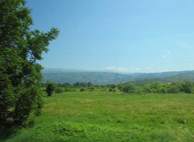 n_img_9599.jpg