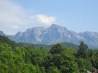 IMG_9831.JPG