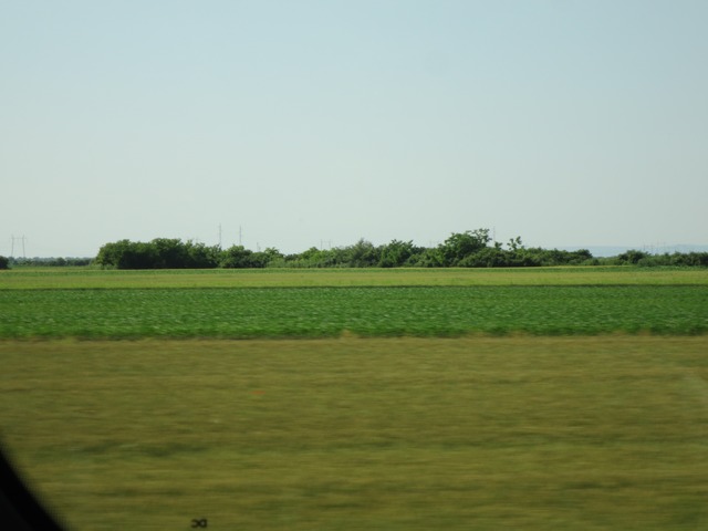 n_img_0594.jpg