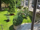 IMG_0786.JPG
