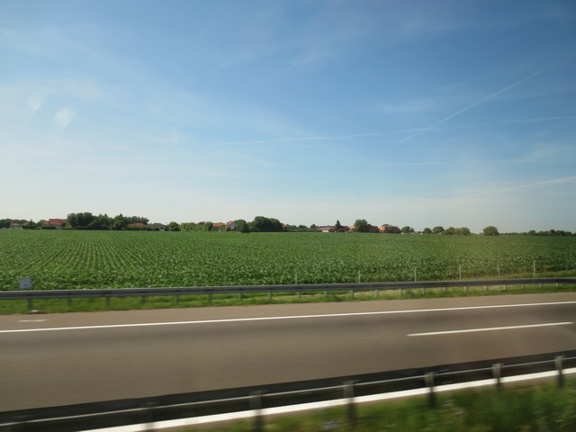 n_img_1021.jpg