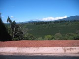 IMG_3050.JPG