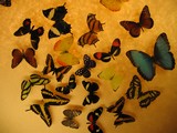 IMG_3123.JPG