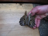 IMG_3134.JPG