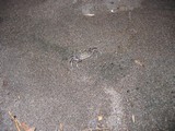 IMG_3276.JPG