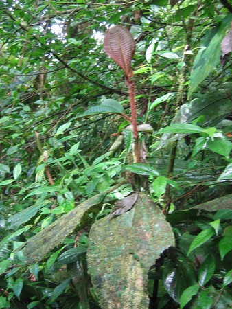 n_IMG_3578.jpg