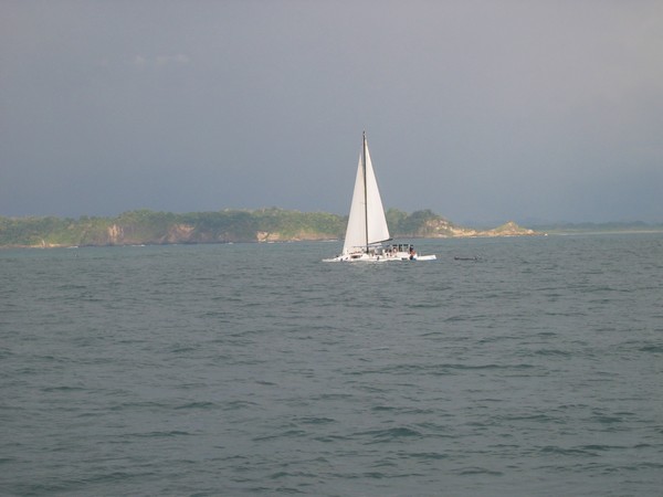 n_IMG_3779.jpg