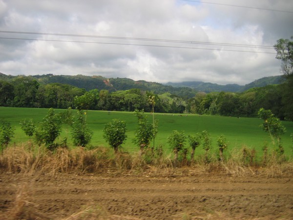 n_IMG_3914.jpg