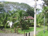 IMG_3901.JPG
