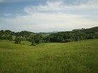IMG_3572.JPG