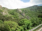 IMG_3902c.jpg