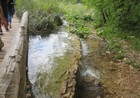 IMG_3991c.jpg