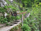 IMG_4006.JPG