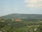 IMG_4201.JPG