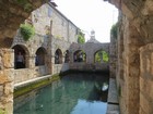IMG_4572.JPG