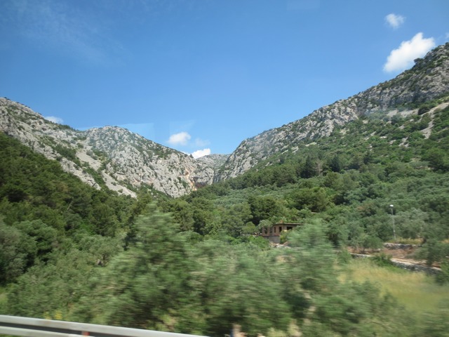 n_img_4838.jpg