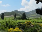 IMG_4898.JPG