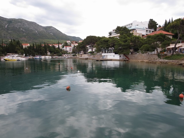 n_img_5911.jpg