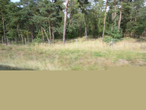 n_img_0807.jpg