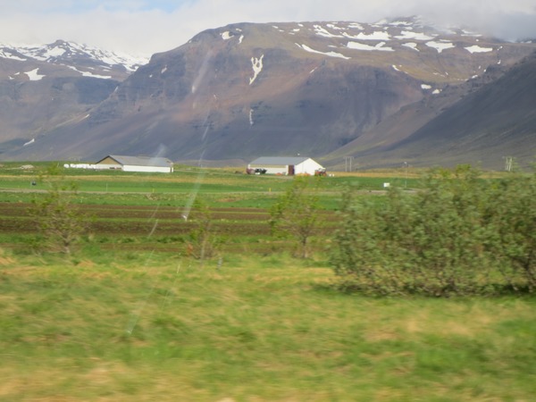 n_img_4869.jpg