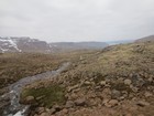 IMG_5347.JPG