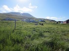 IMG_6208.JPG