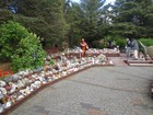 IMG_6475.JPG