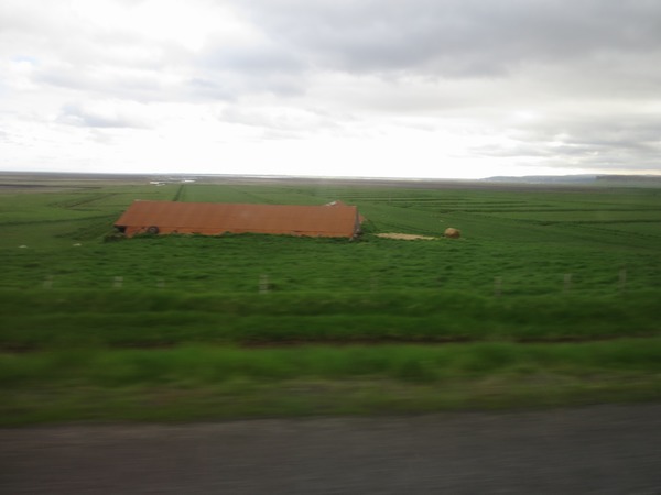 n_img_6866.jpg