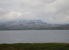 IMG_7223.JPG