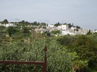 IMG_1226.JPG