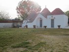 IMG_1331.JPG