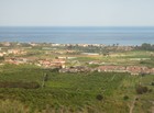 IMG_2205.JPG