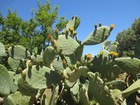 IMG_2401.JPG