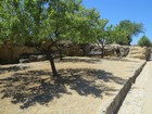 IMG_2408.JPG