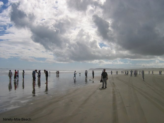 2007_04_09__2529__ninety_mile_beach___bob.jpg