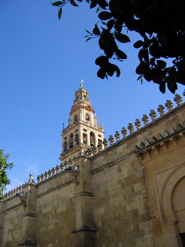 img_0730.jpg