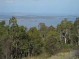 IMG_0737.JPG