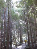 IMG_0867.JPG