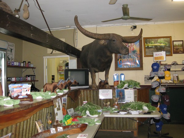 n_img_0411_adelaide_river_inn___charlie_the_buffalo_from_the_crocodile_dundee_movie___he_had_retired_to_the_paddock_next_door_until_he_died_in_2001.jpg
