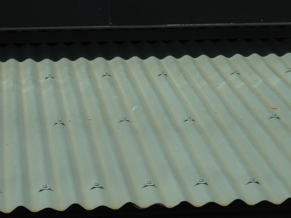 n_img_0609_fasteners_on_corrigated_roofing__to_resist_powerful_cyclones.jpg